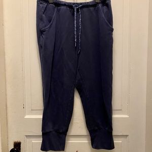 Free People Movement Jogger Pants in Navy Size M